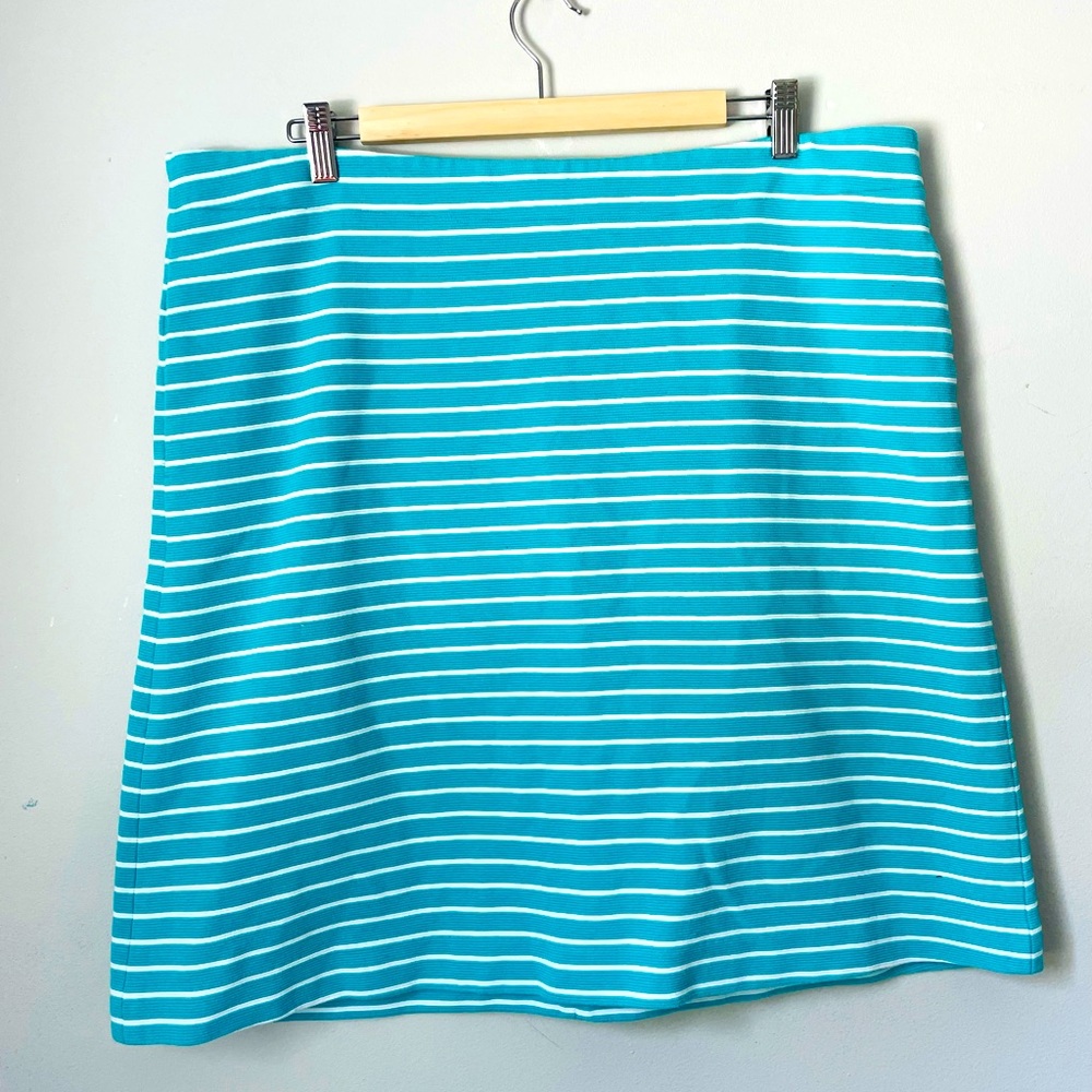 Talbots Skirt